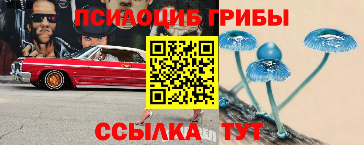 Волжск  Галлюциногенные грибы мицелий  Галлюциногенные грибы Psilocybe  Вход с VPN 